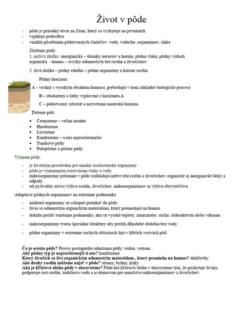 Drevo v zemi - vizuál s drevenými stĺpikmi umiestnenými v pôde a naznačenou vlhkosťou