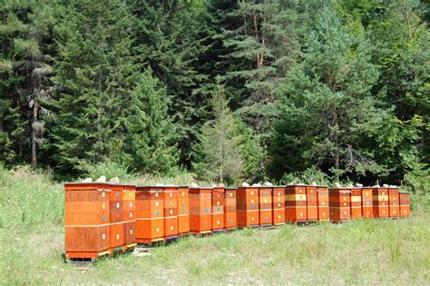 Včelnica s kvalitným vonkajším obitím z Tatranského profilu