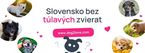Útulok pre domáceho miláčika pod schodiskom