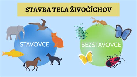 Hierarchické usporiadanie biosféry od jedinca po globálny ekosystém