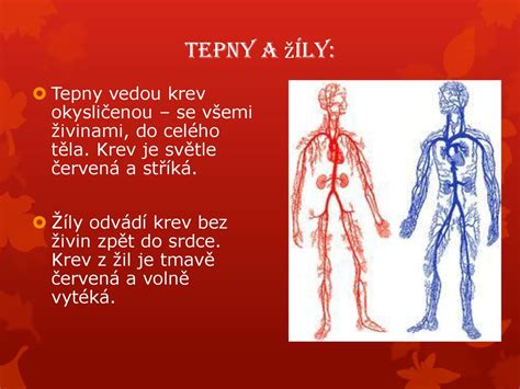 Schéma bypassu s použitím žily