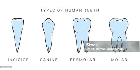 Infografika: Typy zubov pílových kotúčov