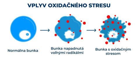 Schéma poškodenia vlhkosťou