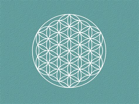Symbol ochrany DITON AQUASTOP PROTECT