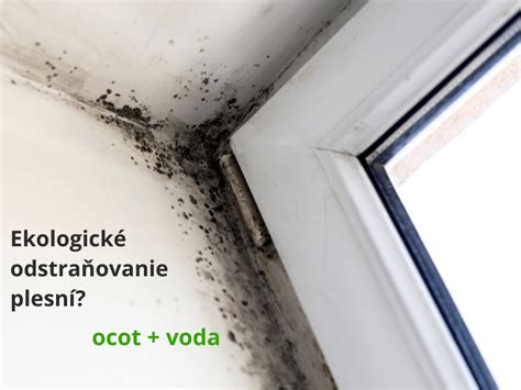 Pleseň okolo okna ako dôsledok netesnej a zle izolovanej škáry