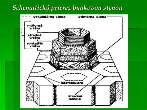 Prierez zateplenou stenou