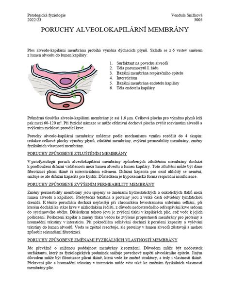 Detail kupoliek membrány Platon