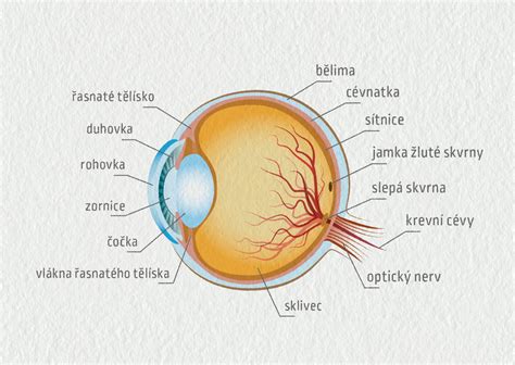 Zloženie diamantového rezného kotúča a jeho časti