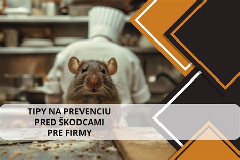 Tipy na zlepšenie vetrania pre prevenciu plesní