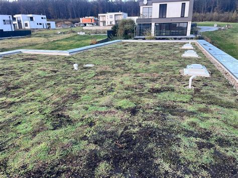 Vizualizácia zelenej strechy na obytnom dome