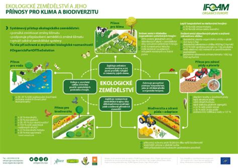 Infografika porovnávajúca ekonomické a ekologické výhody plastových obrubníkov