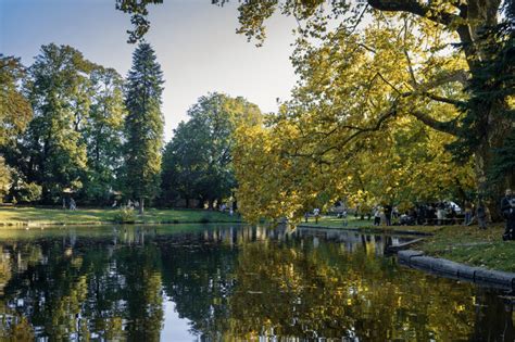 Zámocký park v Hlubokej s rozkvitnutými stromami