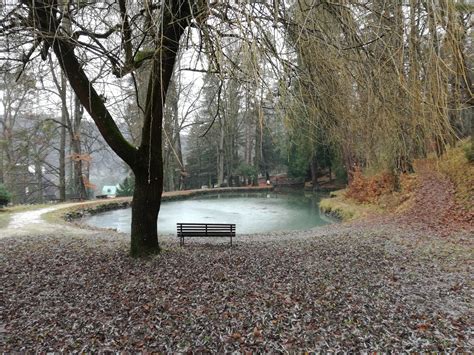 Anglický park kaštieľa Svätý Anton